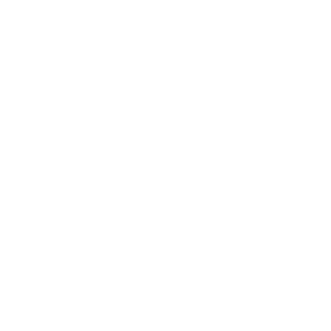 Auto Accidents Icon