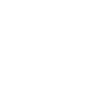 Personal Injury Icon